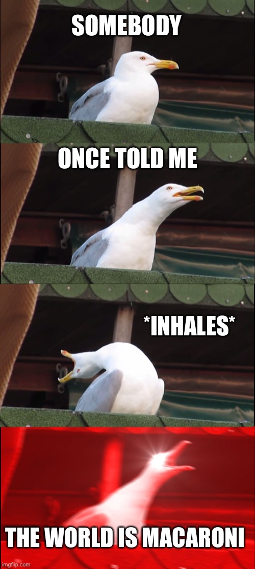 Inhaling Seagull | SOMEBODY; ONCE TOLD ME; *INHALES*; THE WORLD IS MACARONI | image tagged in memes,inhaling seagull | made w/ Imgflip meme maker
