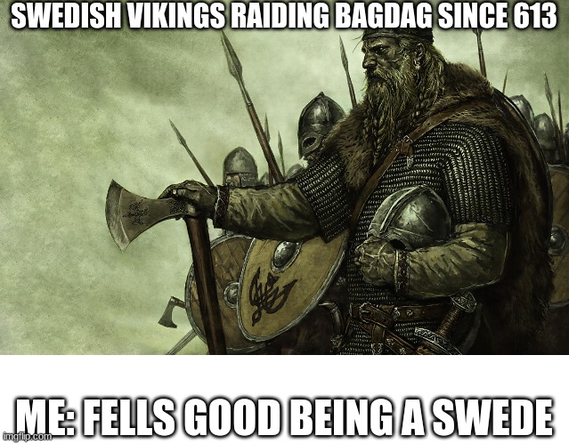 fells good being a swede | SWEDISH VIKINGS RAIDING BAGDAG SINCE 613; ME: FELLS GOOD BEING A SWEDE | image tagged in viking,sweden,bagdag | made w/ Imgflip meme maker