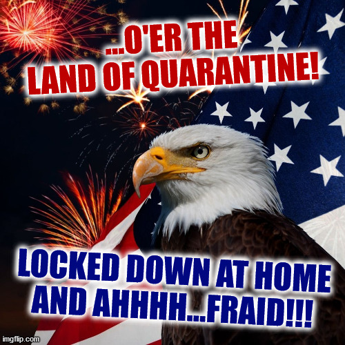 SARS Spangled B.S. | ...O'ER THE LAND OF QUARANTINE! LOCKED DOWN AT HOME AND AHHHH...FRAID!!! | image tagged in memes,funny,'murica,hide the pain harold,coronavirus,new world order | made w/ Imgflip meme maker