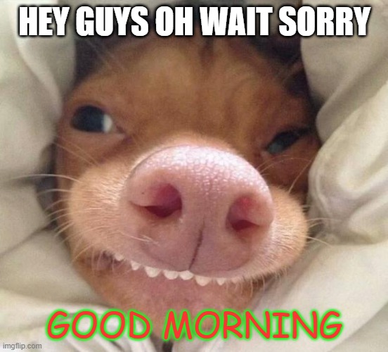 good morning | HEY GUYS OH WAIT SORRY; GOOD MORNING | image tagged in good morning | made w/ Imgflip meme maker