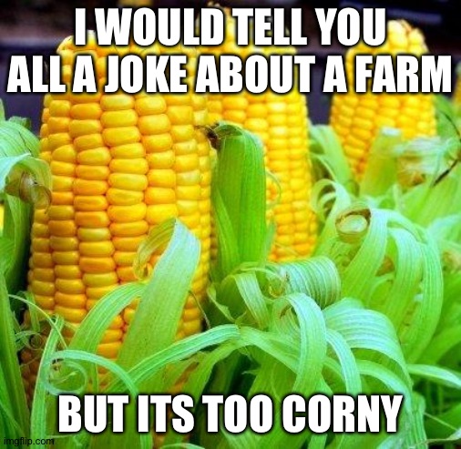 Corny Pun | I WOULD TELL YOU ALL A JOKE ABOUT A FARM; BUT ITS TOO CORNY | image tagged in corn meme | made w/ Imgflip meme maker