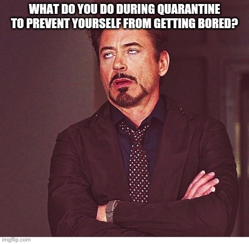 I Tried To Find A New Hobby | WHAT DO YOU DO DURING QUARANTINE TO PREVENT YOURSELF FROM GETTING BORED? | image tagged in rdj boring | made w/ Imgflip meme maker