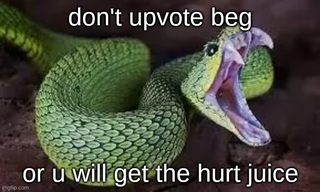 dis is me and me psa, know the knowledge | don't upvote beg; or u will get the hurt juice | image tagged in snek,psa,snek memes,knowledge,upvote begging,snake | made w/ Imgflip meme maker