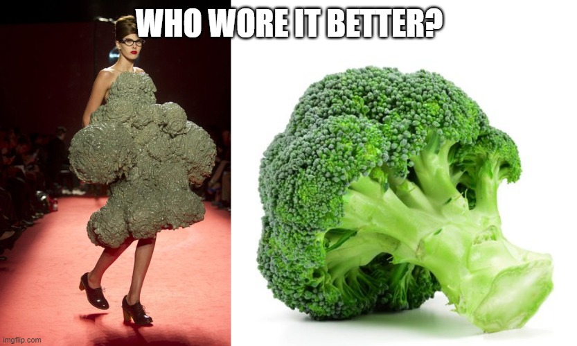 Who wore it better fashion week | WHO WORE IT BETTER? | image tagged in who wore it better,fashion week,runway fashion,broccoli | made w/ Imgflip meme maker