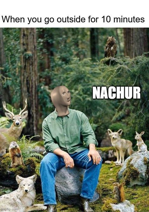 Meme man nachur | When you go outside for 10 minutes; NACHUR | image tagged in arnold nature,meme man,nature,meme,memes,original meme | made w/ Imgflip meme maker