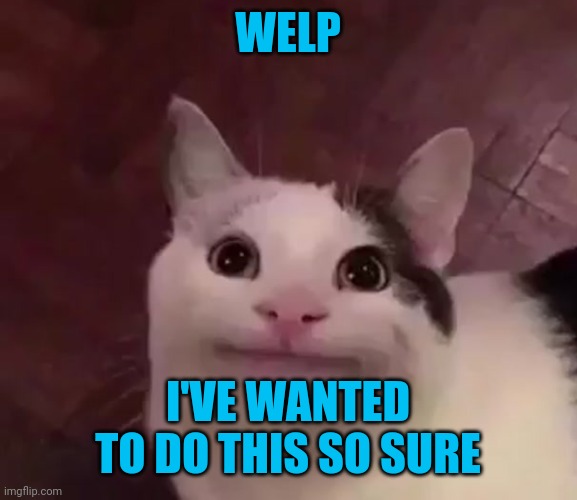 Yep... | WELP; I'VE WANTED TO DO THIS SO SURE | image tagged in awkward cat | made w/ Imgflip meme maker