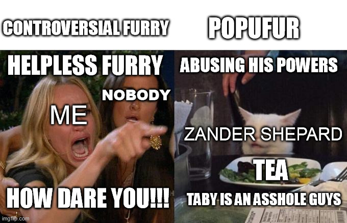 Zander Shepard Betrayed Me And Harrased Me | CONTROVERSIAL FURRY; POPUFUR; ABUSING HIS POWERS; HELPLESS FURRY; NOBODY; ME; ZANDER SHEPARD; TEA; HOW DARE YOU!!! TABY IS AN ASSHOLE GUYS | image tagged in memes,woman yelling at cat,the furry fandom,furry,funny,furry memes | made w/ Imgflip meme maker
