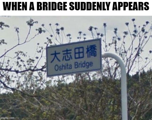 Monday Pun-Day | WHEN A BRIDGE SUDDENLY APPEARS | image tagged in memes,funny memes,meme,funny meme,bridge,bad pun | made w/ Imgflip meme maker