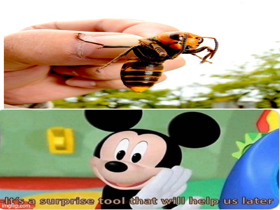 It's a suprise tool that will make a new apocalypse later | image tagged in murder hornet,mickey mouse,tool | made w/ Imgflip meme maker