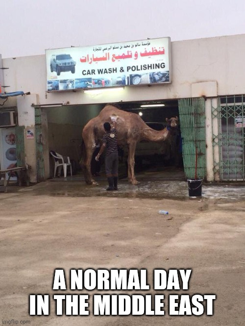 WILL IT IS HIS CAR | A NORMAL DAY IN THE MIDDLE EAST | image tagged in car wash,wtf,middle east,camel | made w/ Imgflip meme maker