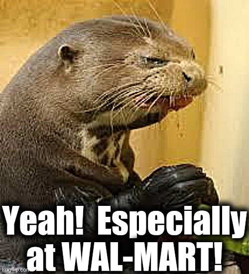 Disgusted Otter | Yeah!  Especially at WAL-MART! | image tagged in disgusted otter | made w/ Imgflip meme maker