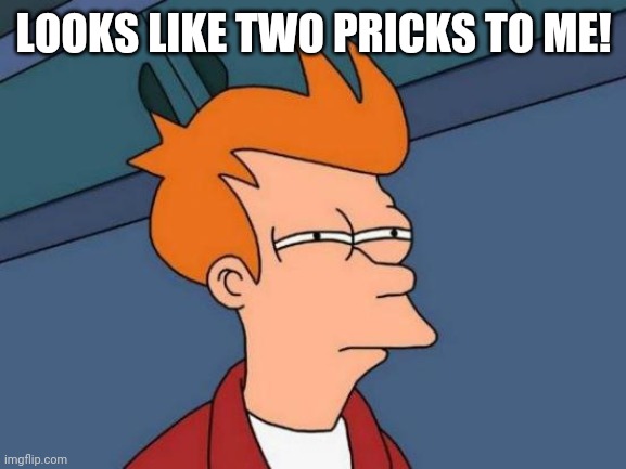 LOOKS LIKE TWO PRICKS TO ME! | image tagged in memes,futurama fry | made w/ Imgflip meme maker