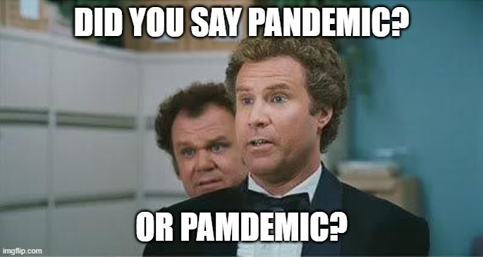 Pamdemic | DID YOU SAY PANDEMIC? OR PAMDEMIC? | image tagged in stepbrothers | made w/ Imgflip meme maker