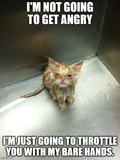 Kill You Cat Meme | I'M NOT GOING TO GET ANGRY; I'M JUST GOING TO THROTTLE YOU WITH MY BARE HANDS. | image tagged in memes,kill you cat | made w/ Imgflip meme maker