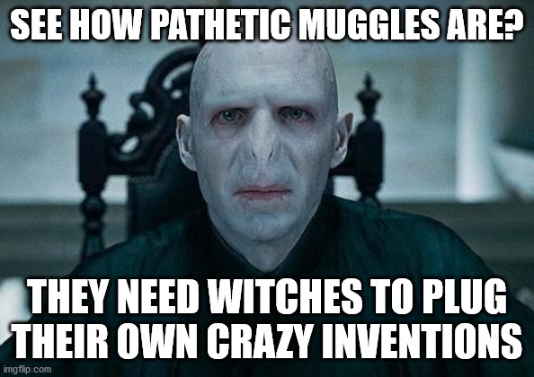 Lord Voldemort | SEE HOW PATHETIC MUGGLES ARE? THEY NEED WITCHES TO PLUG THEIR OWN CRAZY INVENTIONS | image tagged in lord voldemort | made w/ Imgflip meme maker