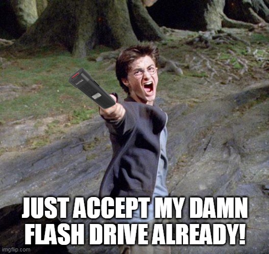 Harry potter | JUST ACCEPT MY DAMN FLASH DRIVE ALREADY! | image tagged in harry potter | made w/ Imgflip meme maker