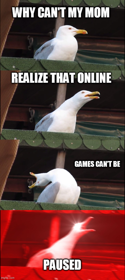 (No title) | WHY CAN'T MY MOM; REALIZE THAT ONLINE; GAMES CAN'T BE; PAUSED | image tagged in memes,inhaling seagull | made w/ Imgflip meme maker