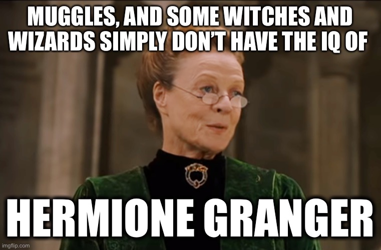 Mcgonagall | MUGGLES, AND SOME WITCHES AND WIZARDS SIMPLY DON’T HAVE THE IQ OF HERMIONE GRANGER | image tagged in mcgonagall | made w/ Imgflip meme maker