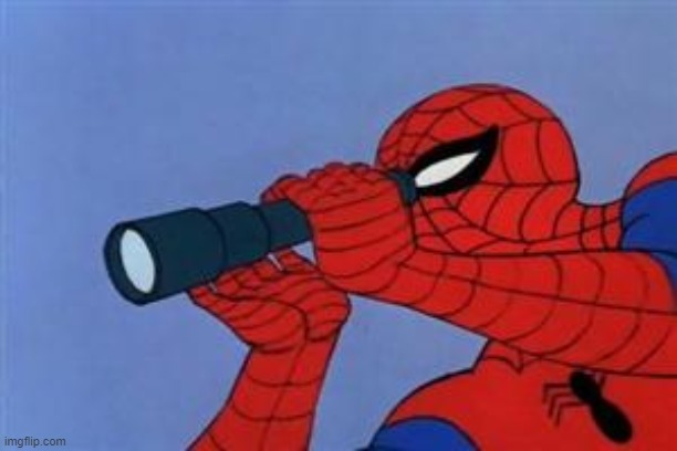 Spiderman binoculars | image tagged in spiderman binoculars | made w/ Imgflip meme maker