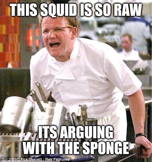Chef Gordon Ramsay | THIS SQUID IS SO RAW; ITS ARGUING WITH THE SPONGE | image tagged in memes,chef gordon ramsay | made w/ Imgflip meme maker