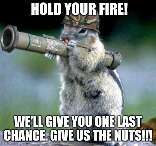 Bazooka Squirrel | HOLD YOUR FIRE! WE'LL GIVE YOU ONE LAST CHANCE. GIVE US THE NUTS!!! | image tagged in memes,bazooka squirrel | made w/ Imgflip meme maker