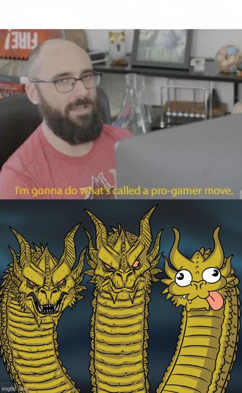 this stream felt empty so I decided to post something | image tagged in pro gamer move,three-headed dragon | made w/ Imgflip meme maker