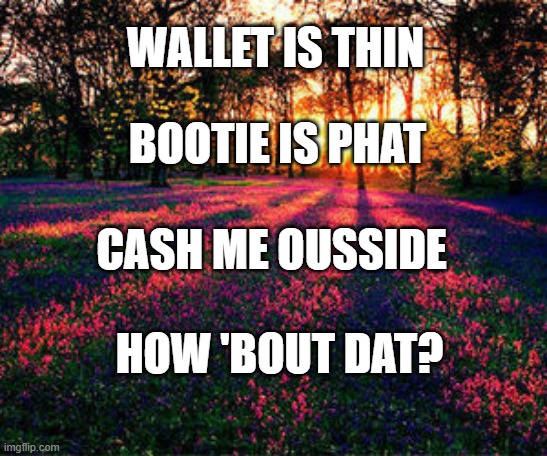 roses are red | WALLET IS THIN; BOOTIE IS PHAT; CASH ME OUSSIDE; HOW 'BOUT DAT? | image tagged in roses are red,cash me ousside how bow dah,cash me ousside,cash me outside,poetry | made w/ Imgflip meme maker
