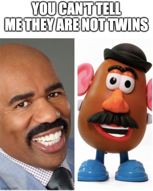 Look up "guy that looks like mr potato head" | YOU CAN'T TELL ME THEY ARE NOT TWINS | image tagged in steve harvey,mr potato head,memes,funny,baby jesus loves you | made w/ Imgflip meme maker