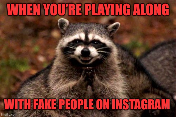 I’m a single mother (that’s better looking than most models) and I’m lonely and want a honest relationship... can I have number? | WHEN YOU’RE PLAYING ALONG; WITH FAKE PEOPLE ON INSTAGRAM | image tagged in memes,evil plotting raccoon,instagram,scammers,44colt,playing along | made w/ Imgflip meme maker