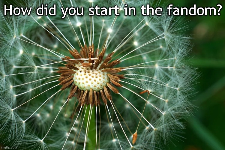 We all started somewhere | How did you start in the fandom? | image tagged in furry,the furry fandom | made w/ Imgflip meme maker
