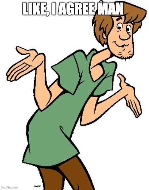 Shaggy from Scooby Doo | LIKE, I AGREE MAN | image tagged in shaggy from scooby doo | made w/ Imgflip meme maker