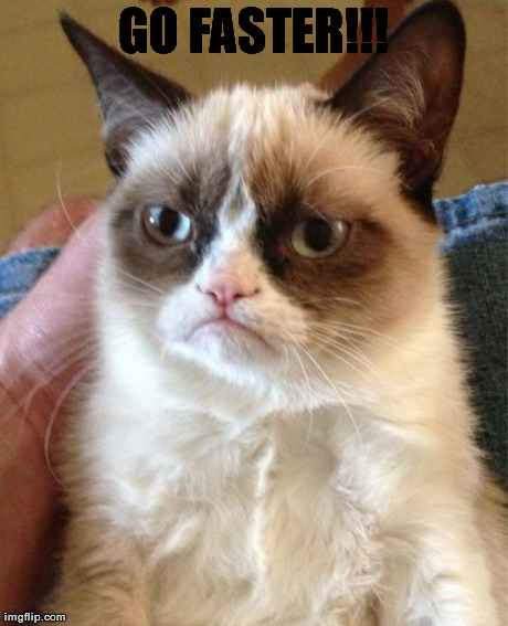 Grumpy Cat Meme | GO FASTER!!! | image tagged in memes,grumpy cat | made w/ Imgflip meme maker