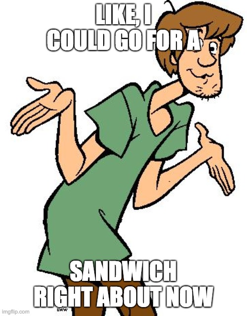 Shaggy from Scooby Doo | LIKE, I COULD GO FOR A SANDWICH RIGHT ABOUT NOW | image tagged in shaggy from scooby doo | made w/ Imgflip meme maker