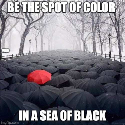 spot of color | BE THE SPOT OF COLOR; W69; IN A SEA OF BLACK | image tagged in red umbrella,spot,color,not conformant | made w/ Imgflip meme maker