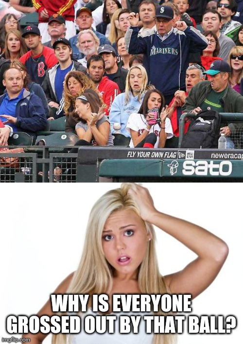 DON'T TOUCH IT | WHY IS EVERYONE GROSSED OUT BY THAT BALL? | image tagged in dumb blonde,memes,baseball,catch,crowd | made w/ Imgflip meme maker