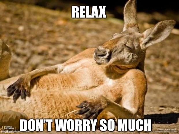 DON’T WORRY SO MUCH RELAX | image tagged in chillin kangaroo | made w/ Imgflip meme maker
