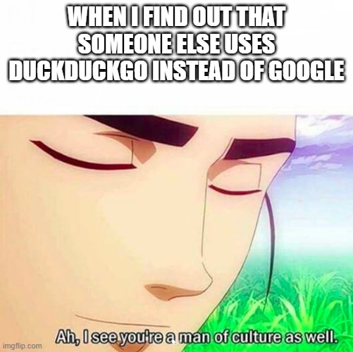 WHEN I FIND OUT THAT SOMEONE ELSE USES DUCKDUCKGO INSTEAD OF GOOGLE | image tagged in ah i see you are a man of culture as well | made w/ Imgflip meme maker