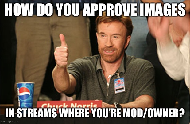 Chuck Norris Approves | HOW DO YOU APPROVE IMAGES; IN STREAMS WHERE YOU’RE MOD/OWNER? | image tagged in memes,chuck norris approves,chuck norris | made w/ Imgflip meme maker