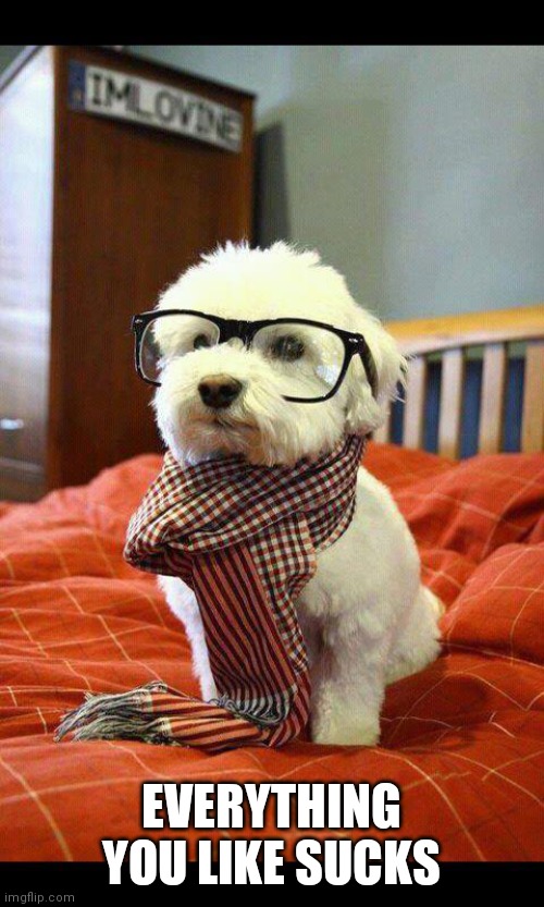 Intelligent Dog | EVERYTHING YOU LIKE SUCKS | image tagged in memes,intelligent dog | made w/ Imgflip meme maker