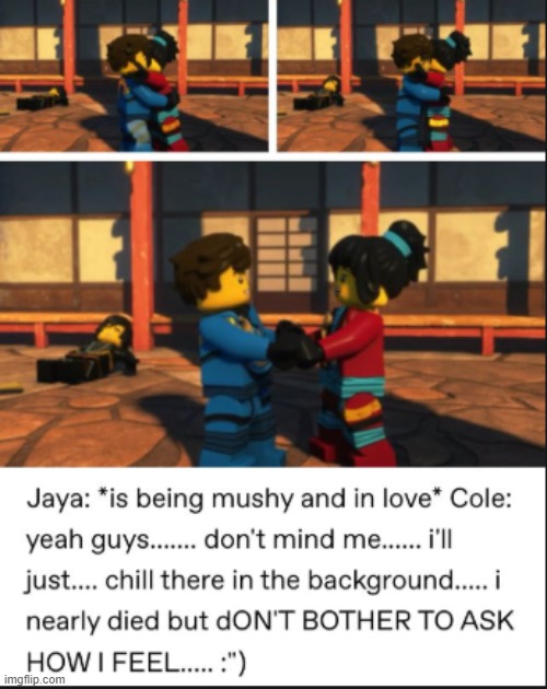Poor cole | image tagged in ninjago,jay,nya,cole | made w/ Imgflip meme maker