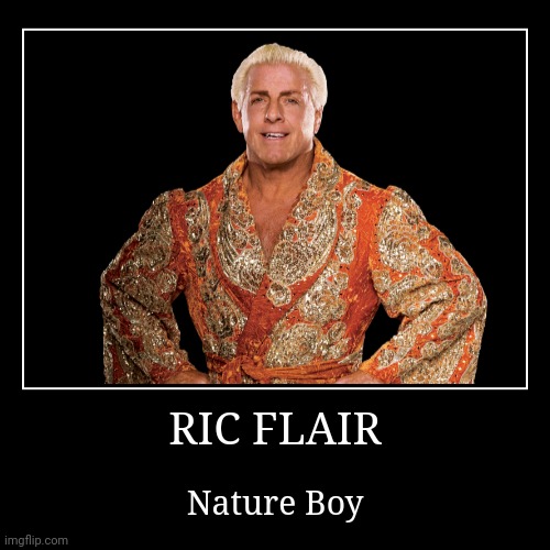 Ric Flair | image tagged in demotivationals,wwe,ric flair | made w/ Imgflip demotivational maker
