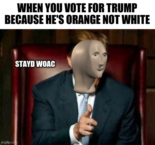 bruh | WHEN YOU VOTE FOR TRUMP BECAUSE HE'S ORANGE NOT WHITE; STAYD WOAC | image tagged in donald trump | made w/ Imgflip meme maker