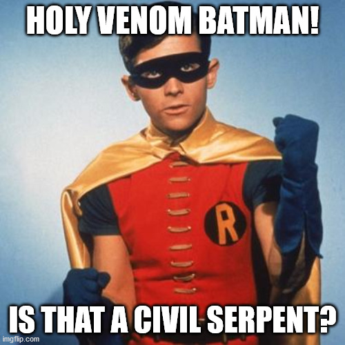 Robin explains it all | HOLY VENOM BATMAN! IS THAT A CIVIL SERPENT? | image tagged in robin,batman,civil,servant,venom | made w/ Imgflip meme maker