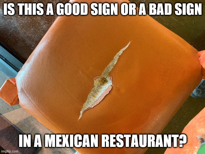 That chair has seen better days. | IS THIS A GOOD SIGN OR A BAD SIGN; IN A MEXICAN RESTAURANT? | image tagged in mexican food,funny memes,farts,diarrhea,puppies and kittens | made w/ Imgflip meme maker