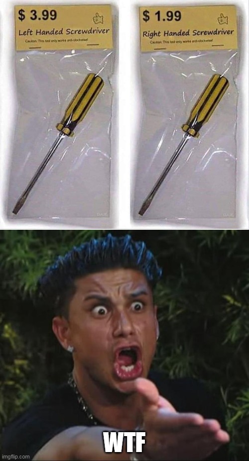 wtf | WTF | image tagged in memes,dj pauly d,screwdriver | made w/ Imgflip meme maker
