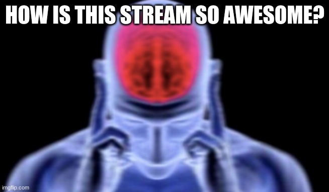 Idk, just wanted to use this template | HOW IS THIS STREAM SO AWESOME? | image tagged in brain damage | made w/ Imgflip meme maker