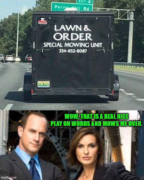Well played sir, well played. | WOW, THAT IS A REAL NICE PLAY ON WORDS AND MOWS ME OVER. | image tagged in we need law and order,play on words,pun | made w/ Imgflip meme maker