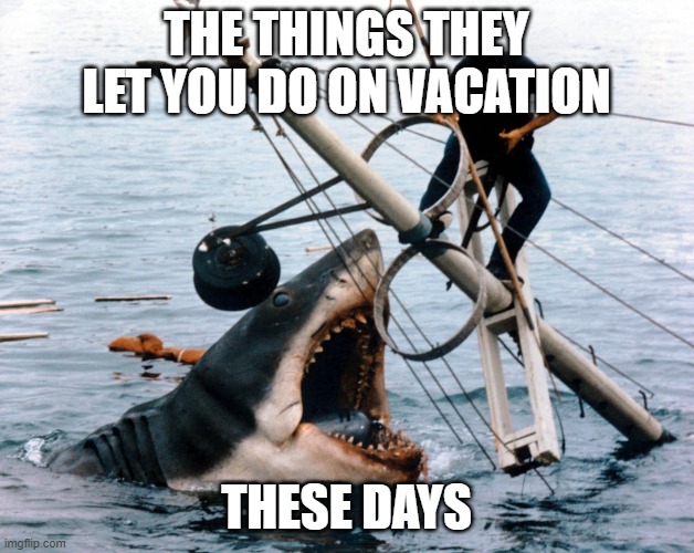 Jaws | THE THINGS THEY LET YOU DO ON VACATION; THESE DAYS | image tagged in jaws | made w/ Imgflip meme maker