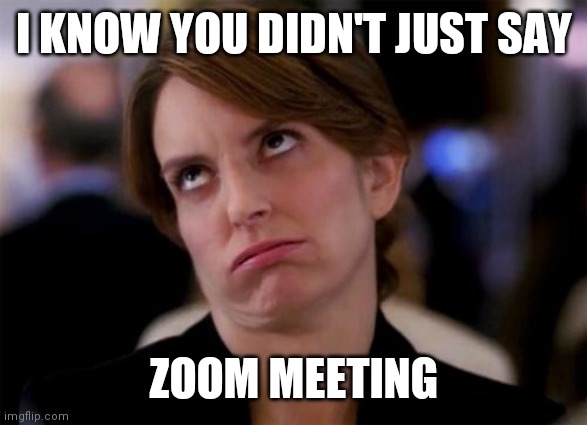 Not another one | I KNOW YOU DIDN'T JUST SAY; ZOOM MEETING | image tagged in eye roll | made w/ Imgflip meme maker