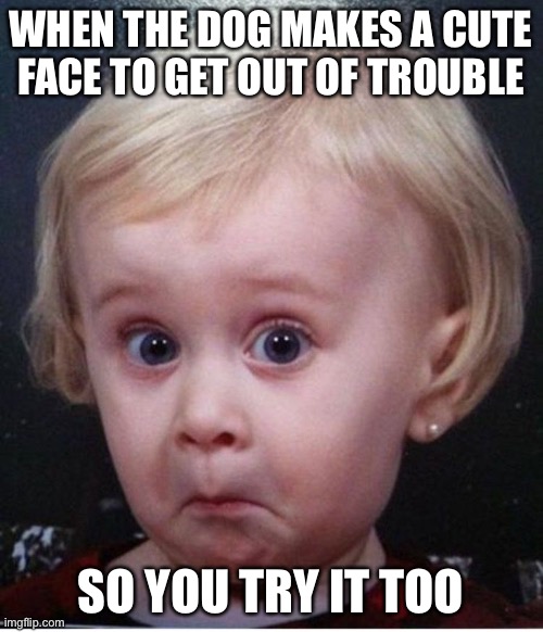 Lol | WHEN THE DOG MAKES A CUTE FACE TO GET OUT OF TROUBLE; SO YOU TRY IT TOO | image tagged in funny face kid | made w/ Imgflip meme maker